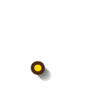246