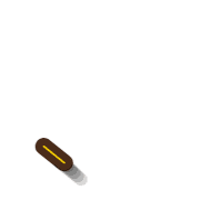 256