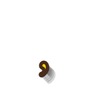 245