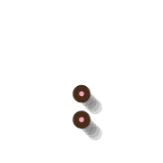 244