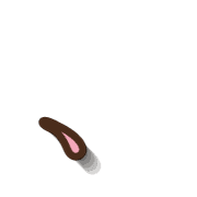 256