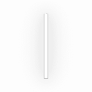 242