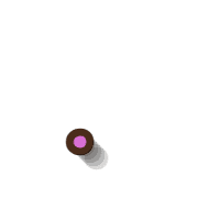 246
