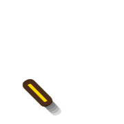 256