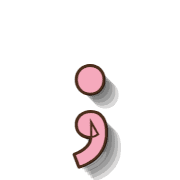 243