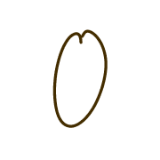 223