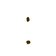 244