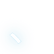256