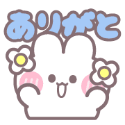 008