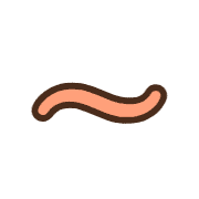 224