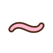 224