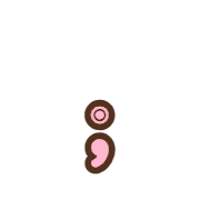 243