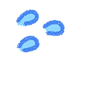 019
