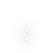 244