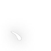 256