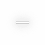 251