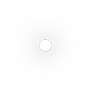 253