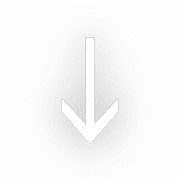 261