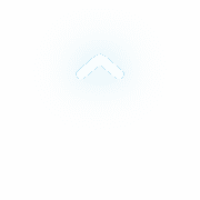 231