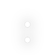 244