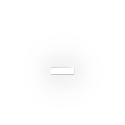 251