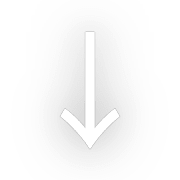 261