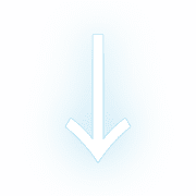 261