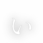 048