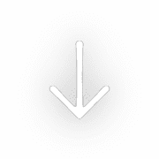 261