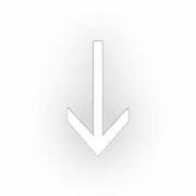 261