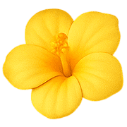 019