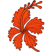 004