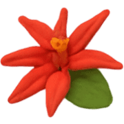 019