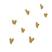 008