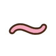 224