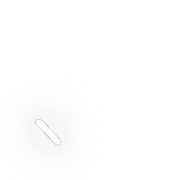 256