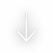 261