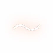 224
