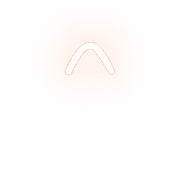 231