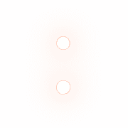 244