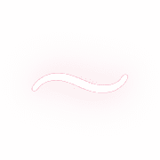 224