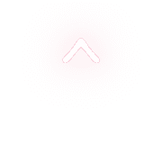 231