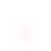 244