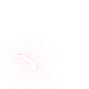 256