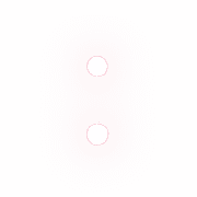 244