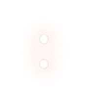 244