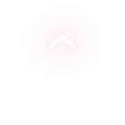 231