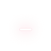 251