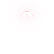 231