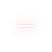 251
